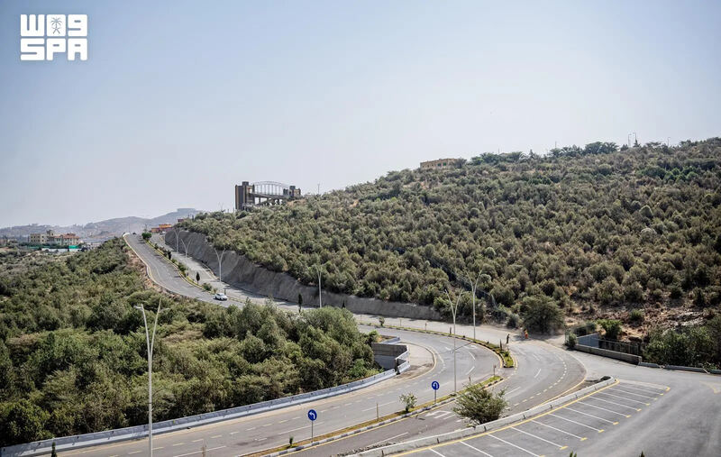 Al-Baha’s 221,000 Hectares of Forests Enrich Its Natural Landscape